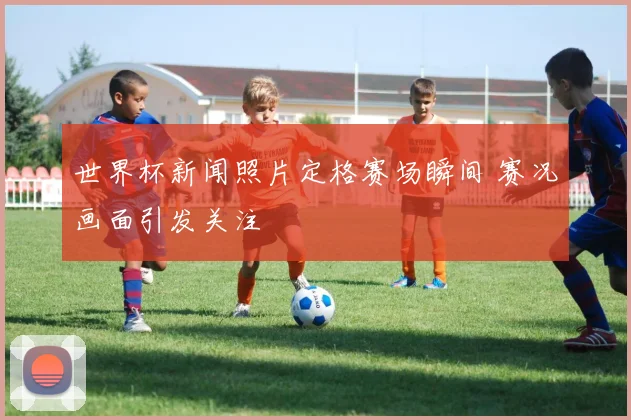 世界杯新闻照片定格赛场瞬间 赛况画面引发关注